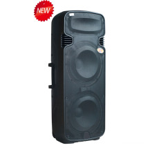 Hot Sale Protable DJ Bluetooth Battery Speaker F65